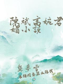 陈斌高婉君赵心媚小说