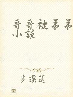 哥哥被弟弟操的小说