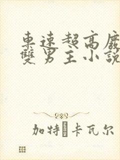 车速超高废文的双男主小说推荐