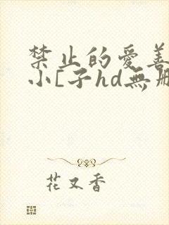 禁止的爱善良的小[子hd无删减在线