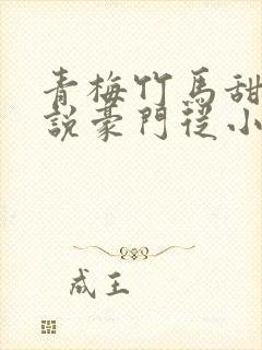 青梅竹马甜宠小说豪门从小到大