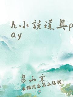 h小说道具play