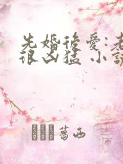 先婚后爱:老公很凶猛 小说免费阅读