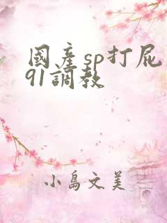 国产sp打屁股91调教