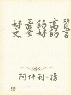 好看的高质量的文笔好的言情