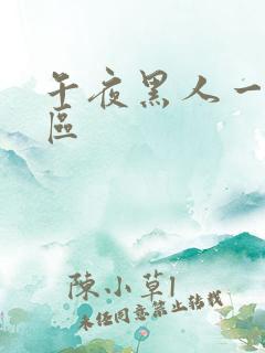 午夜黑人一区二区