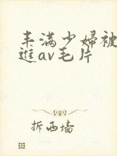 丰满少妇被猛烈进av毛片