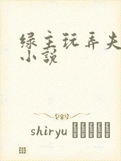 绿主玩弄夫妻奴小说