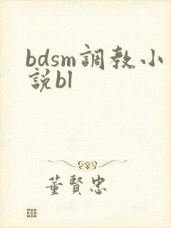 bdsm调教小说bl