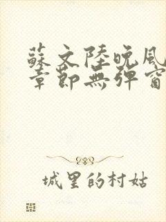 苏文陆晚风最新章节无弹窗笔趣阁