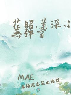 花昭,叶深小说无弹窗