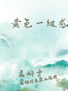 黄色一级感情片