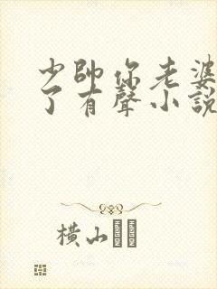 少帅你老婆又跑了有声小说