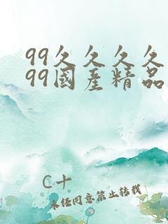 99久久久久久99国产精品免