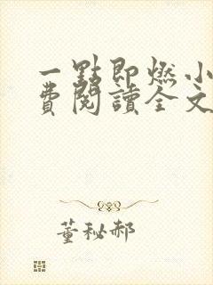 一点即燃小说免费阅读全文无弹窗