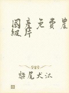 国产免费农村一级片