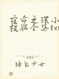 宿命之环小说精校版全集txt