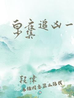 白夜追凶一共多少集