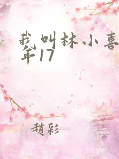 我叫林小喜 今年17