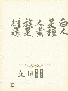 维族人是白种人还是黄种人