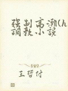 强制高潮(h)调教小说