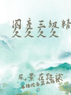 国产三级精品久久久久久