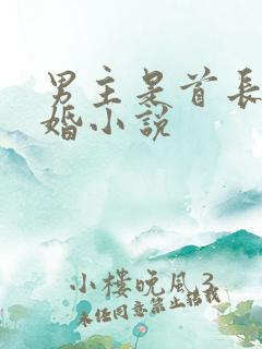 男主是首长的军婚小说