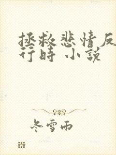 拯救悲情反派进行时 小说