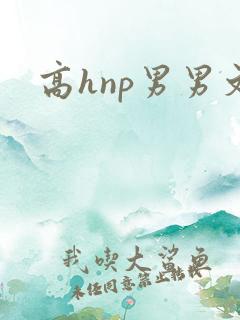 高hnp男男文