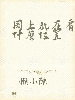 冈上肌在肩部的什么位置