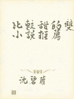 比较甜的双男主小说推荐