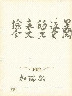 捡来的流星by全文免费阅读笔趣阁