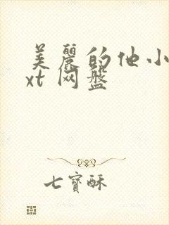 美丽的他小说txt 网盘