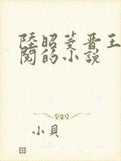 陆昭菱晋王周时阅的小说