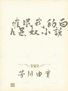 催眠我的白丝高h足奴小说