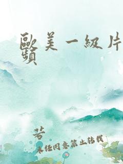 欧美一级片性视频