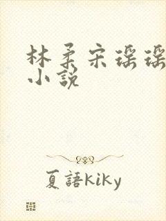 林柔宋瑶瑶徐明小说