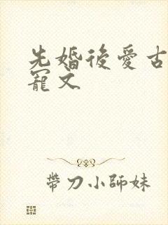 先婚后爱古言甜宠文
