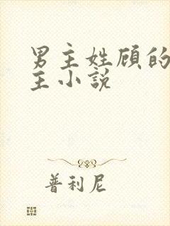 男主姓顾的双男主小说