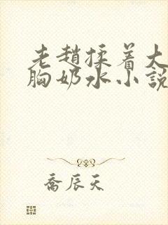 老赵揉着大雪的胸奶水小说