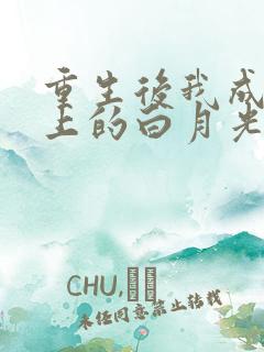 重生后我成了皇上的白月光