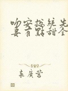 吻安总统先生蜜妻有点甜全文免费阅读