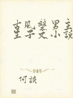 古风双男主超虐生子文小说