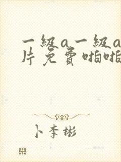 一级a一级a爰片免费啪啪少妇网