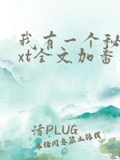 我有一个秘密txt全文加番外