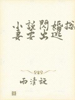 小说闪婚总裁甜妻要出逃