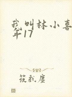 我叫林小喜 今年17