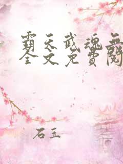 霸天武魂无弹窗全文免费阅读