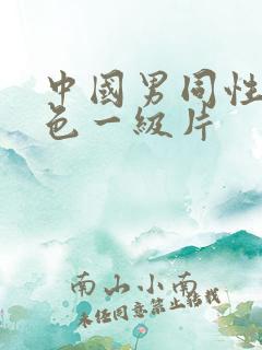 中国男同性恋黄色一级片