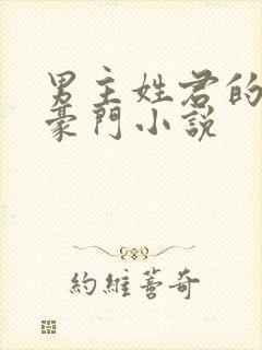 男主姓君的现代豪门小说